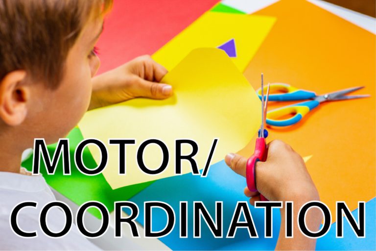 | Autism in Pakistan Motor/coordination